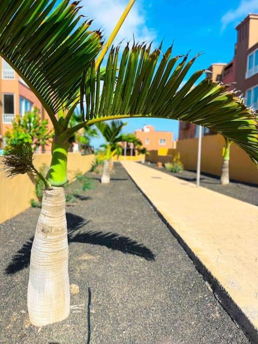 Apartamento Casa Bamboo Corralejo, Espacioso, Piscina Y Parking Εξωτερικό φωτογραφία