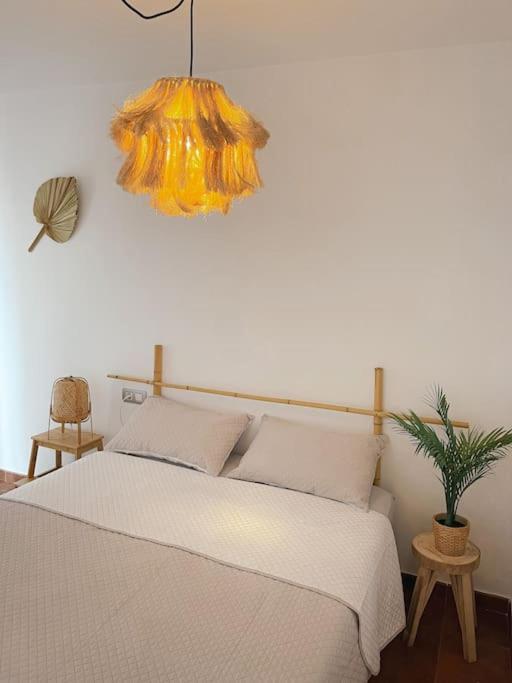 Apartamento Casa Bamboo Corralejo, Espacioso, Piscina Y Parking Εξωτερικό φωτογραφία