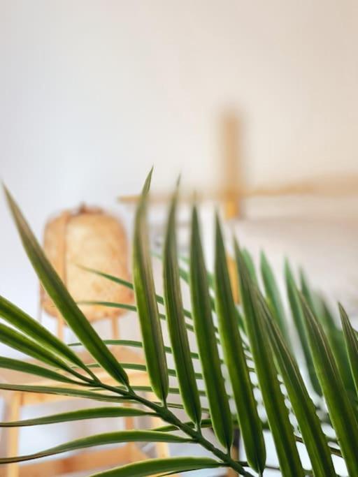 Apartamento Casa Bamboo Corralejo, Espacioso, Piscina Y Parking Εξωτερικό φωτογραφία