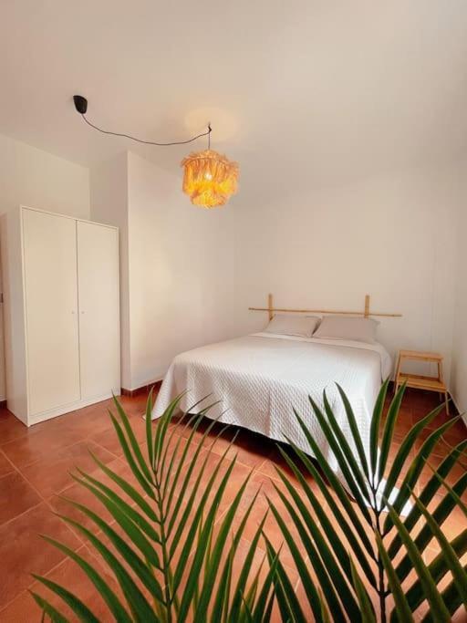Apartamento Casa Bamboo Corralejo, Espacioso, Piscina Y Parking Εξωτερικό φωτογραφία