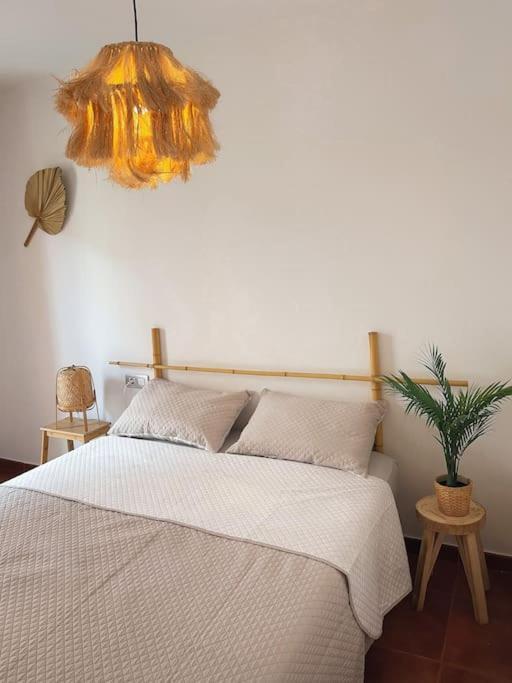 Apartamento Casa Bamboo Corralejo, Espacioso, Piscina Y Parking Εξωτερικό φωτογραφία