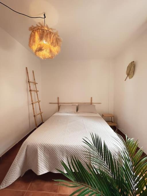 Apartamento Casa Bamboo Corralejo, Espacioso, Piscina Y Parking Εξωτερικό φωτογραφία