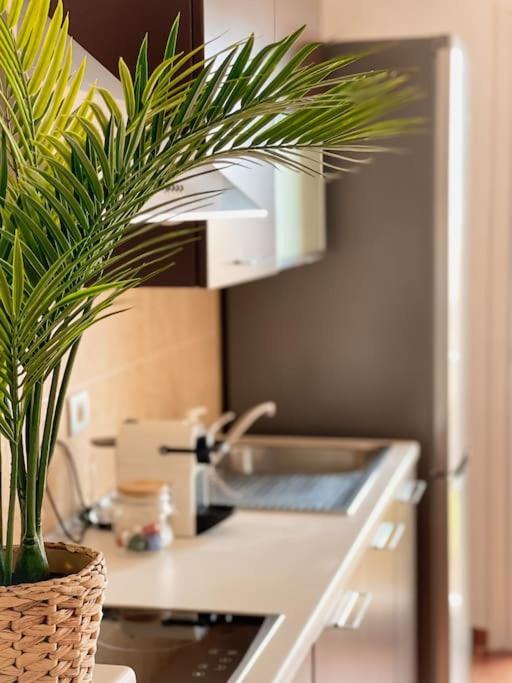 Apartamento Casa Bamboo Corralejo, Espacioso, Piscina Y Parking Εξωτερικό φωτογραφία